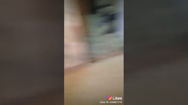 Засосало в туалет и за жопу укусил тарантул смотреть онлайн