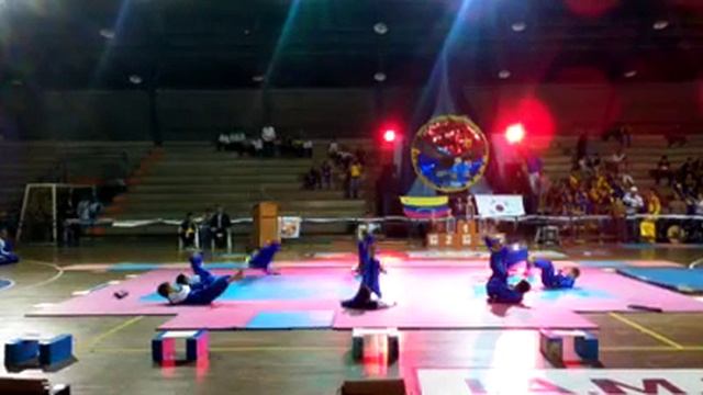 Exibision De Hapkido Coriano