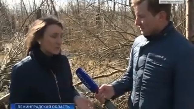 Почему в Отрадном за год не решили экологическую проблему? смотреть онлайн