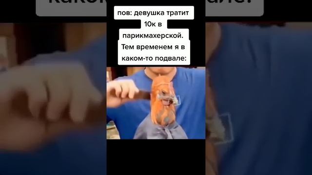 Дёшево и стильно?? #юмор #приколы #стрижка #дешево #жиза смотреть онлайн
