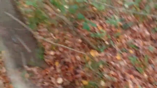 ЛОВУШКИ ЧАГА И БАРСУК 14.09.2020!!! #29 смотреть онлайн