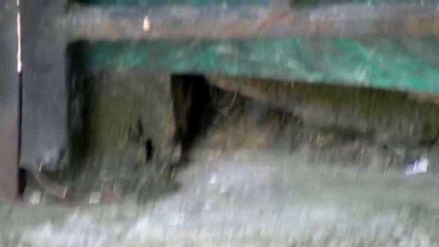 семья синичек смотреть онлайн