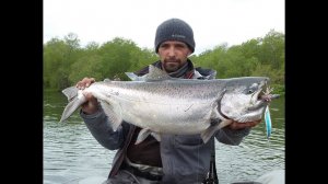 Рыбалка на спининг, ловля лосося (чавычи), часть-2.