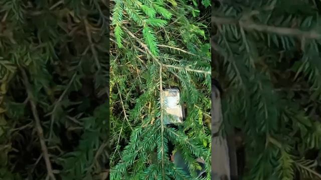 Пазл сложился! смотреть онлайн