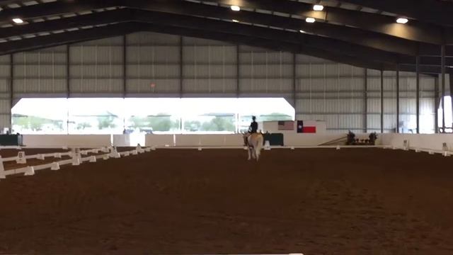 Gryphon Training Level Test 3 Mar 4 2018