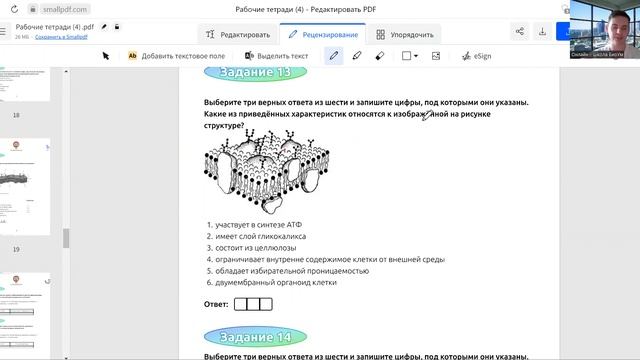 Практика. Строение и функции клетки. Часть 1 смотреть онлайн