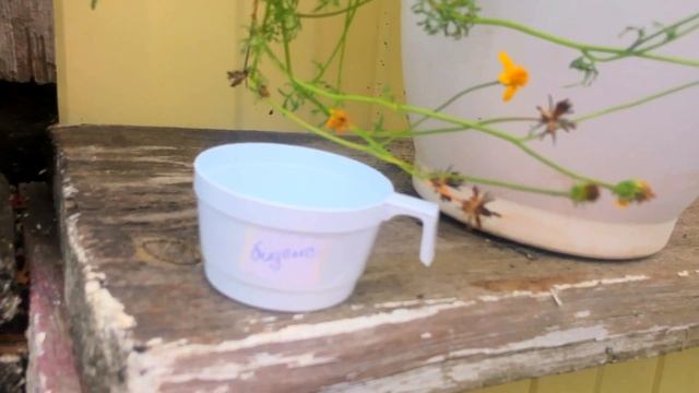 Газ закончился , воду отключили смотреть онлайн