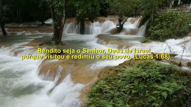 NARRAÇÃO: O nascimento de João Batista e o cântico de Zacarias (Lucas 1:57-80) смотреть онлайн