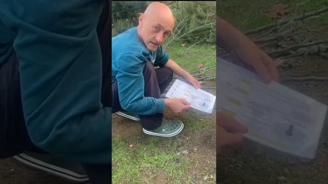 Чайные посиделки. ч.1