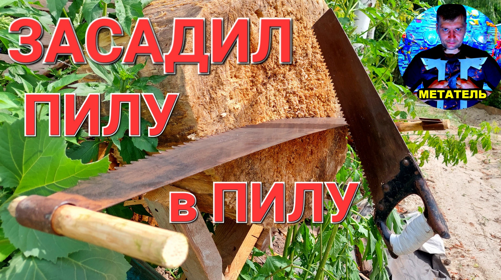 Засадил пилу в пилу ! смотреть онлайн