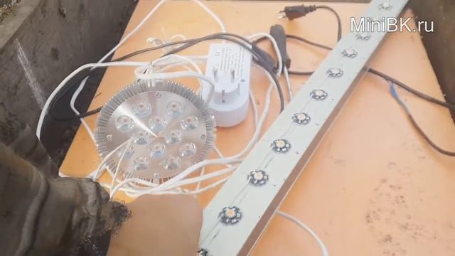 Огурцы под осень в теплице с автоматической поддержанием микроклимата смотреть онлайн