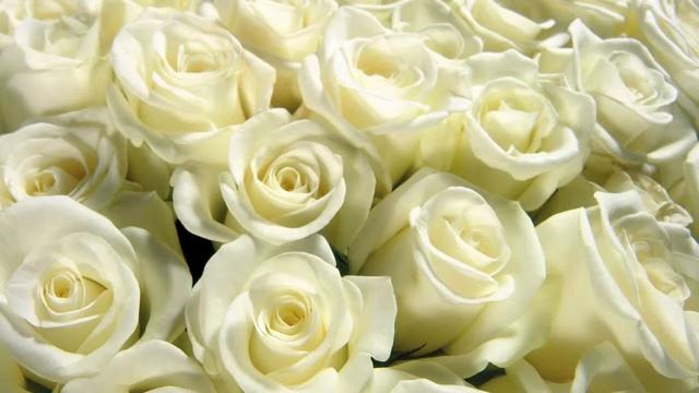 Руны Русичей  -   Чакровая система.