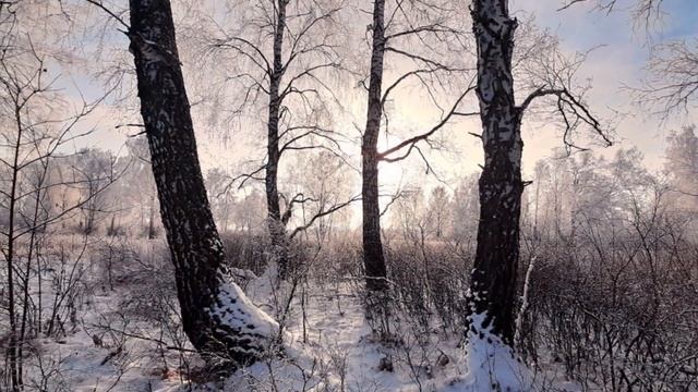 ЗИМА УЖЕ ПРИШЛА... (Фото Александра Шадракова (Кемерово), музыка Александра Деспла) смотреть онлайн