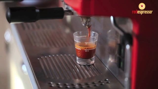 How to make red espresso® rooibos in your café смотреть онлайн