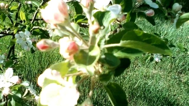 Христианские стихи с очень глубоким смыслом. смотреть онлайн