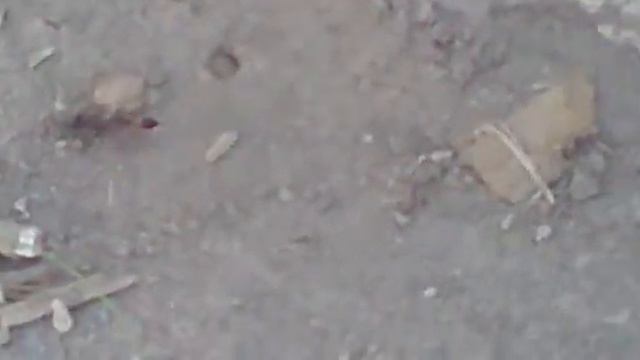 Закрытый люк смотреть онлайн