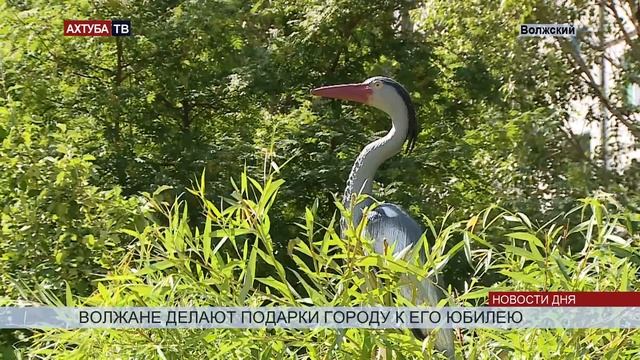 В волжском детсаду построили свою гостиницу «Ахтубу» смотреть онлайн