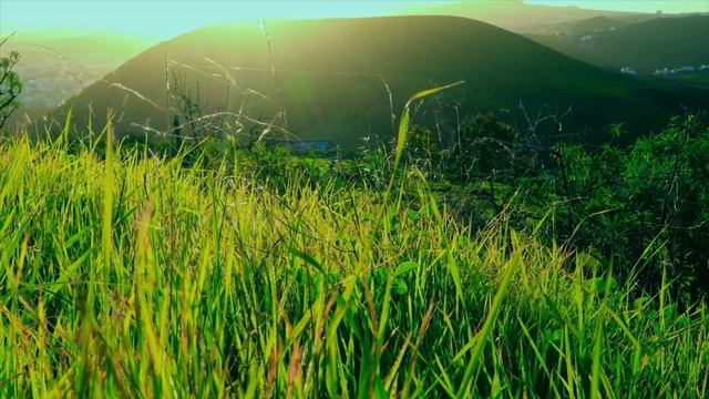 Relaxing music.Музыка расслабляющая,лечебная для снятия негатива,стресса,усталости,сна,сердца. смотреть онлайн