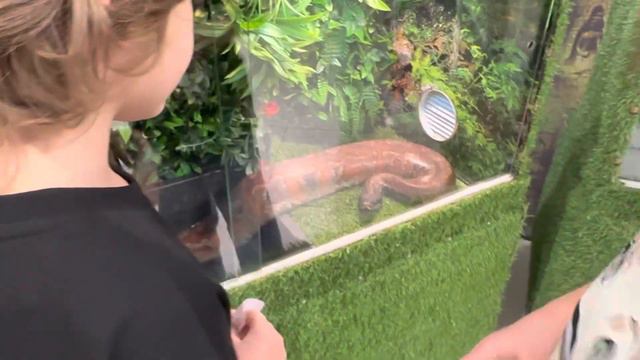 22 января 2023 г. смотреть онлайн