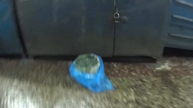 Эх Вася Вася смотреть онлайн