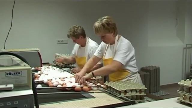 Домашняя птицеферма. смотреть онлайн