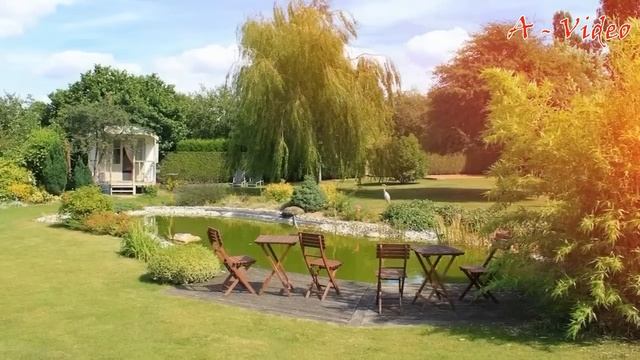?Сборник лучших садовых идей / Collection of the best ideas for the garden / A - Video смотреть онлайн