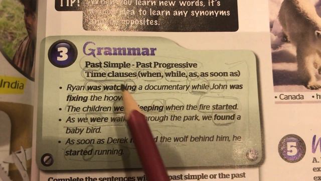 Past Simple - Past Progressive смотреть онлайн