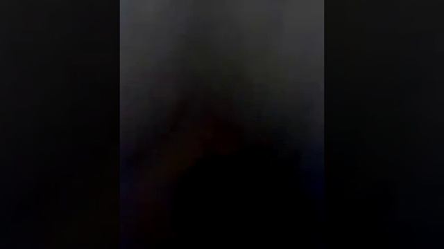 Как научить сабаку плавать особенно мини таксу смотреть онлайн