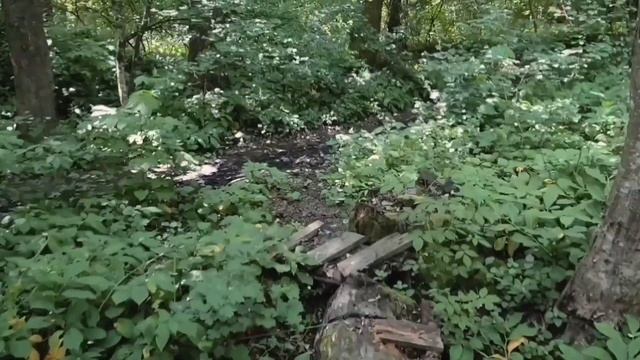 Заброшенные дачи в лесах Туапсинского района (abandoned dachas in the forest of Tuapse district) смотреть онлайн