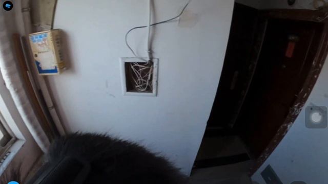 GoPro Max DIY Head Mount Setup & Testing смотреть онлайн