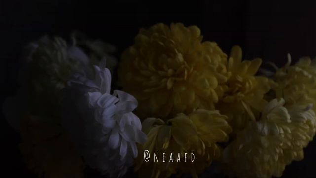 february | Morunas - Merry-Go-Round of Life (from "Howl's moving castle") смотреть онлайн
