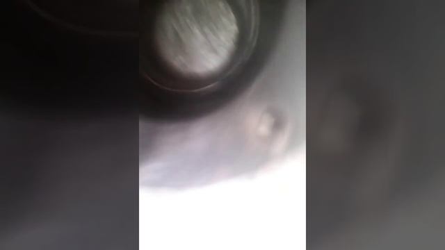 Коммунальщики в Жуковском добили пепелац смотреть онлайн