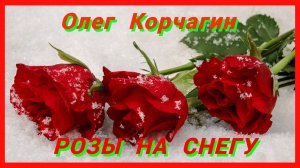 ПРЕМЬЕРА 2024 ! - РОЗЫ НА СНЕГУ - ДУШЕВНАЯ ПЕСНЯ С ГЛУБОКИМ СМЫСЛОМ !