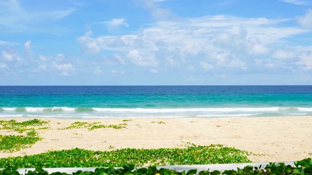 Тёща, Зять и их тайна, произошедшая на даче. смотреть онлайн