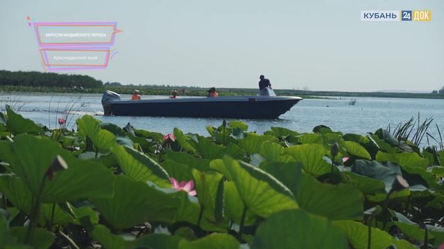 Главные природные достопримечательности Краснодарского края. ТОП-ТОП 10 смотреть онлайн