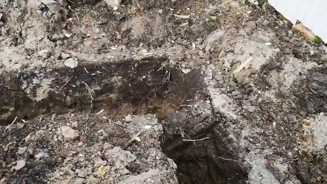 Копаем траншею для фундамента и натыкаемся на сюрприз. смотреть онлайн