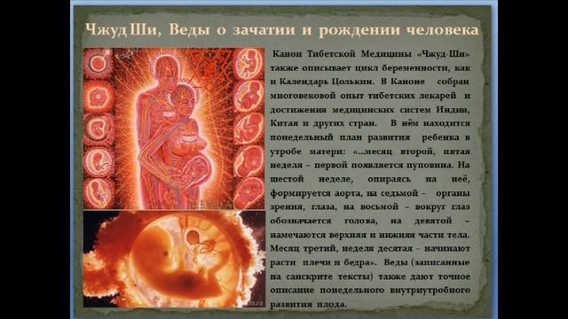 Календарь Майя Цолькин