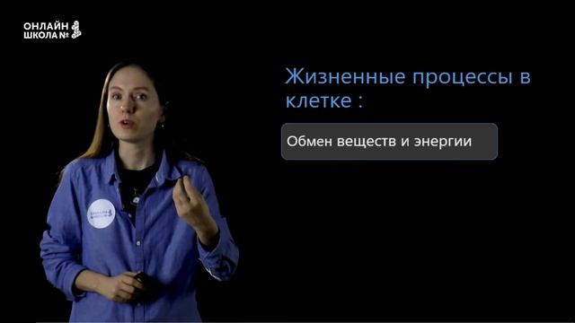 Человек и его здоровье. Строение клеток и тканей человека. Биология ОГЭ смотреть онлайн