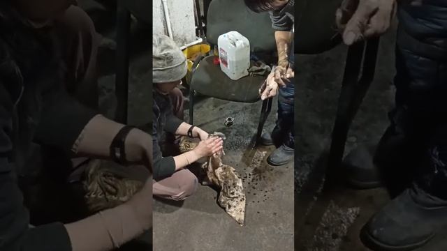 Как смыть краску с рук! Автомобильным маслом! 100% эффективность ??? смотреть онлайн