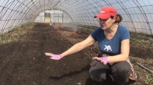 ?Обеззараживание теплицы весной перед посевом