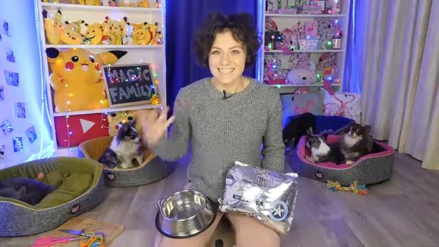 ПРОВЕРИЛИ ЛАЙФХАКИ для ЖИВОТНЫХ Трум Трум! 7 ЛАЙФХАКОВ ДЛЯ СОБАКИ И КОШКИ смотреть онлайн