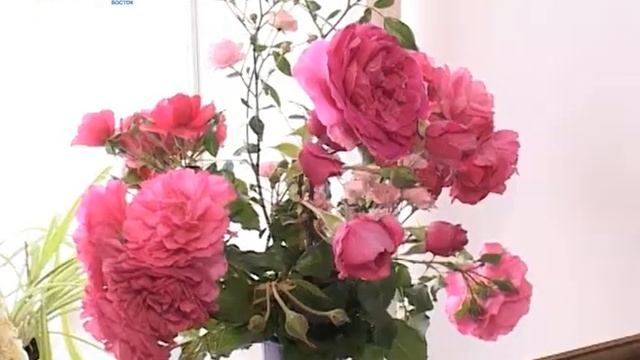Осеннее ассорти смотреть онлайн