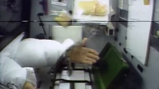 ZERO GRAVITY FROGS IN SPACE смотреть онлайн