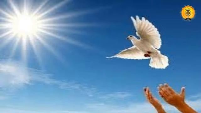 Воскресная медитация. Мир и Любовь. Внутренняя Гармония смотреть онлайн