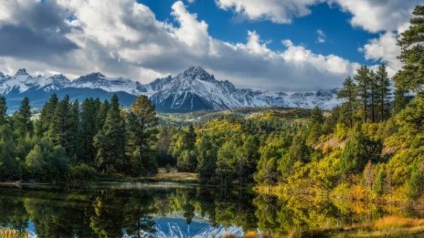 Salt of the Sound. Refuge