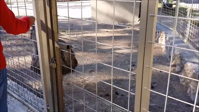 Зоопарк в Анталии. Zoo Antalya. Белоснежка и семь гномов. смотреть онлайн