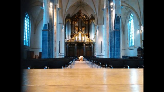 Janny De Vries - J.S. Bach - Fantasia G Dur BWV 572 - Martinikerk Groningen смотреть онлайн