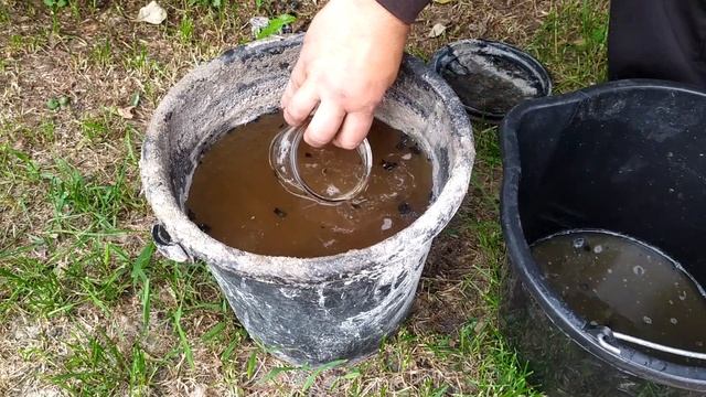 Эффективная защита винограда и ягодных от болезней без химии - это реально! смотреть онлайн