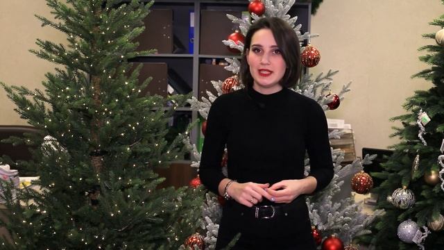 Новогодние Елки GreenTerra: Норвегия Премиум и Норвегия Заснеженная