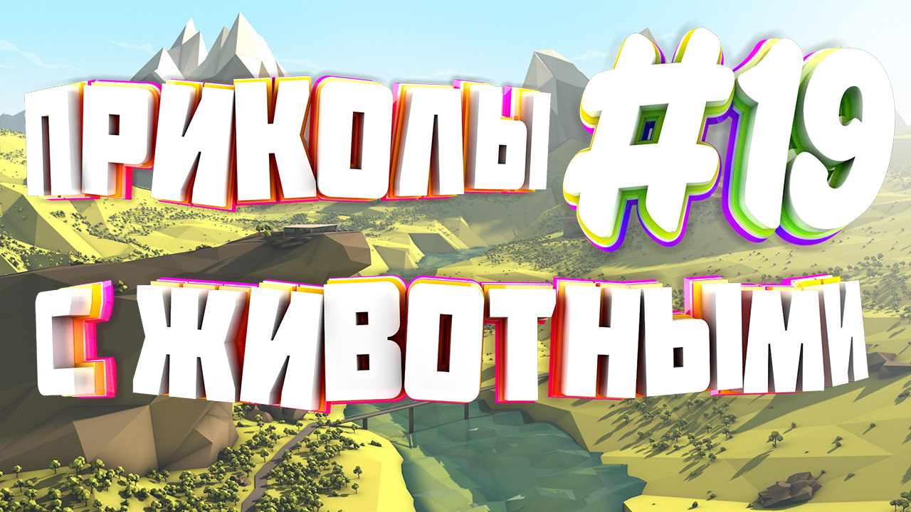 Приколы с животными | Приколы угары | Засмеялся подписался #19